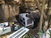 Groupe électrogène essence 1/3 phase 15KVA 20KVA 25KVA 30KVA 50KVA, refroidi par air, générateur au propane, générateur électrique d'urgence