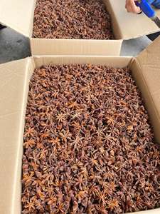 Anís estrellado seco de Vietnam al por mayor, vainas enteras, bolsa de 6 oz, especias premium para sopa y procesamiento de alimentos - Product Image 5