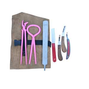 Juego de herramientas de herrador con probador de pezuñas, clincador curvo, escofina para pezuñas, cuchillo de punta afilada, alicates para abscesos, cuchillos para pezuñas estrechos y de doble cara - Product Image 1