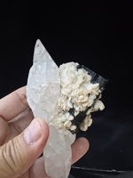 Échantillon de quartz tourmaline noir de forme irrégulière, origine Pakistan