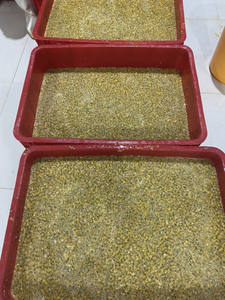 99 GOLD DATA-FRUITS DE PASSION CONGELÉS VIETNAM PRÊT POUR L'EXPORTATION MEILLEUR PRIX VENTES EN GROS DE HAUTE QUALITÉ 100% BIO - Product Image 6