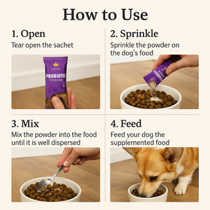 Supplément de poudre probiotique de marque privée pour chats et chiens Soutien digestif et immunitaire Produit de soins de santé pour animaux de compagnie de qualité supérieure - Product Image 5