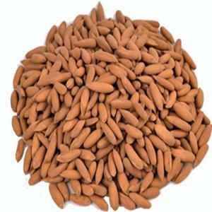 Pignons de pin biologiques à prix abordable, grillés et séchés, en coque, pour en-cas - Product Image 1