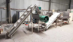 Chaîne entièrement complète Ligne de produits de clous de girofle d'ail à entraînement automatique Ligne de produits de machines à peler Usine de transformation - Product Image 5