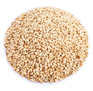 Semillas de Sésamo Naturales, Limpias, de Alta Calidad, Saborizantes, Saludables, Ingrediente para Cocina, Repostería, Snacks, Procesamiento de Alimentos, Semillas Crudas Premium Ricas - Product Image 1