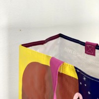 Sacs de courses pliables réutilisables en BOPP et PP tissé, imperméables, personnalisables avec impression et couleur sur mesure, et accessoires pour cheveux avec logo personnalisé, vente en gros