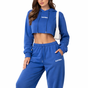Conjunto Deportivo de Dos Piezas al Por Mayor: Sudadera con Capucha Azul Ligera y Transpirable, Pantalones Deportivos Anchos, Fabricante Personalizado OEM - Product Image 1