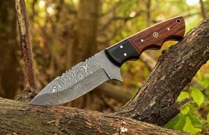 Nuevo Cuchillo Skinner Hecho a Mano de Acero de Damasco de Grado Industrial, Punta Caída, Mango de Madera de Palisandro y Madera Pakka, para Uso Exterior y EDC - Product Image 5
