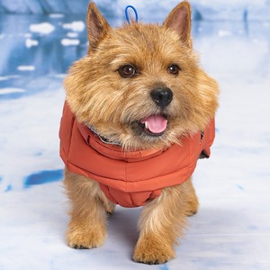 [MUNIKUND] Thermal Up Padding Air 2 Vegan Down Dog Winter Coat Waterproof Padded Jacket Pet Clothing Apparel - Product Image 3