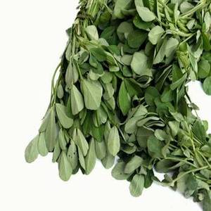 Feuilles de Kasuri Methi Gujarati FitTree International de qualité supérieure, certifiées ISO, 1 kg, durée de conservation de 24 mois - Product Image 6