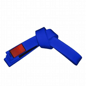 Ceinture de Taekwondo bleue 100% polyester, durable, unisexe, pour adultes, vêtements d'arts martiaux - Product Image 4