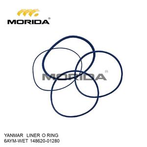 12AYM-WET 14896023311 ROULEMENT principal pour YANMAR - Product Image 2