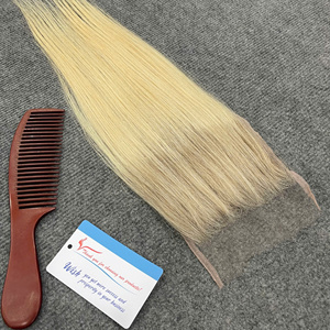 ผมตรงเวียดนามแบบปิดหนังศีรษะ สีออมเบรบลอนด์ ผมแท้บริสุทธิ์ ขายส่ง - Product Image 3