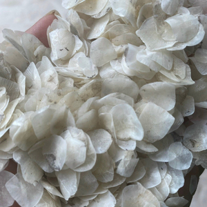 เกล็ดปลา ผลิตภัณฑ์ส่งออกยอดนิยม วัตถุดิบทางทะเลธรรมชาติ เวียดนาม - Product Image 1