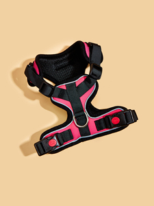 Ensemble de harnais personnalisé anti-traction pour chiots et chats, harnais de luxe réglable et abordable pour chiots et chats, fournitures pour animaux de compagnie avec logo OEM personnalisé - Product Image 3