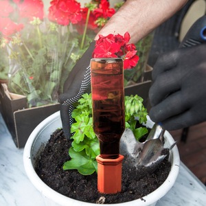 Paquete de 10 picos de riego automático de plantas de terracota, estacas de riego automático para interiores/exteriores, riego hidropónico de liberación lenta - Product Image 4