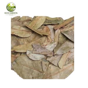 Hojas de Guanábana Secas al por Mayor, Hojas de Graviola Naturales para Té de Hierbas y Productos para la Salud - Product Image 3