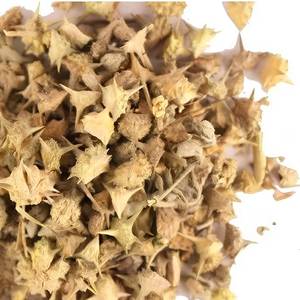 Proveedor Industrial de Extracto de Gokshur Soluble en Aceite, Ingrediente Botánico Natural para Productos Herbales - Product Image 3