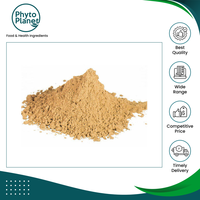 Fabricant d'origine brésilienne vendant de la poudre d'extrait de Muira Puama brésilienne pure et naturelle de qualité supérieure pour les acheteurs en gros