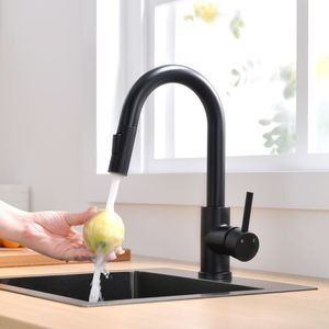 Rubinetto da Cucina Nero con Doccetta Estraibile e Funzione Mini Bar Prep, Doppio Uso per Bagno e Lavello - Product Image 1