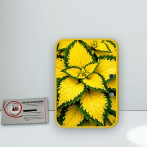 Nouvelle Tendance : Tuile Rectangulaire en Acrylique Plastique à Motif Feuille Jaune pour Extensions de Cils, Forme en U, Écologique, Logo Personnalisé, Fleur, Cœur - Product Image 3