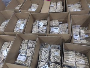 2025 Bâton à mâcher pour chien en bois de café naturel, écologique, qui couine, pour le nettoyage des dents, résistant à l'usure et aux morsures, et anti-halitose - Product Image 4