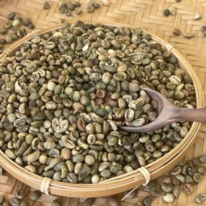 Precio al por mayor a granel A + Grado 95-99% Maduración Limpio/Pulido en húmedo/Proceso natural Granos de café verde Embalaje OEM Vietnam - Product Image 5