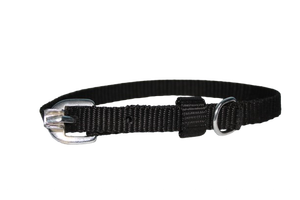 Collar para Perro de Diseño Elegante y Calidad Premium para Razas Pequeñas y Grandes, Servicios OEM y ODM de Divine International - Product Image 2