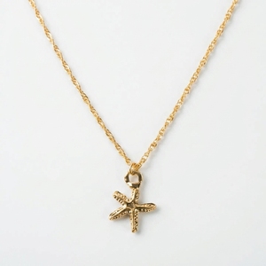 สร้อยคอ Starlit Glow Dainty ดีไซน์เรียบง่าย จี้รูปปลาดาว สร้อยคอเสน่ห์แห่งท้องทะเล ชุบสีบรอนซ์โบราณ - Product Image 1