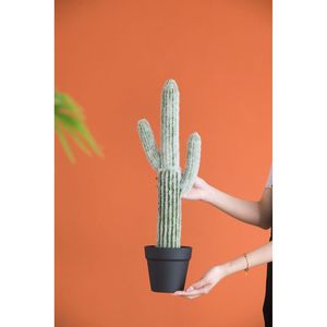 Juego de 5 Cactus Saguaro Artificiales en Maceta Negra de 8x5x24.5 Pulgadas, Decoración de Plantas Duradera y Elegante - Product Image 1