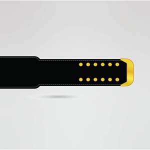 Ceinture de championnat de lutte personnalisée avec sangle noire et plaques métalliques dorées, équipement sportif personnalisé, ceinture de championnat sur mesure - Product Image 6