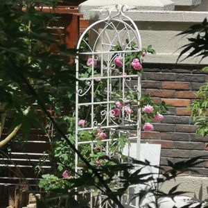 2 Pack Cream White Rustproof Metal Garden <b>Trellis</b> 71\" X 19.7\" Outdoor <b>Flower</b> Support for Climbing Plants - Product Image 4