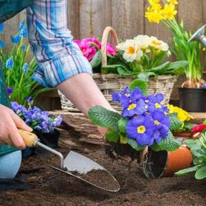 Bloc de tourbe de coco de qualité supérieure pour l'agriculture, l'horticulture et la culture en serre, disponible à un prix abordable en provenance d'Inde - Product Image 5