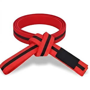Cinturones de Taekwondo de Algodón con Diseño de Rayas de Color Personalizables, Cinturones de Karate de Doble Costura para Entrenamiento Avanzado, Ropa de Artes Marciales Unisex - Product Image 2