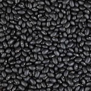 Frijoles Rojos Moteados Secos Orgánicos a Granel 25 kg - Product Image 3
