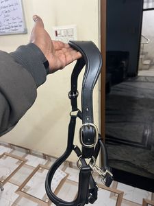 Cincha de cuero negra ajustable para caballo con hebillas metálicas y detalles de costura. Cincha de caballo ajustable de metal. - Product Image 3