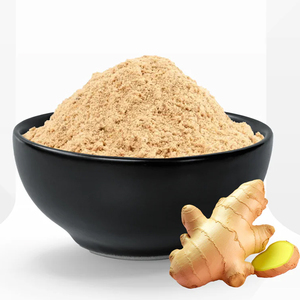 Jengibre en Polvo de Alta Calidad para Preparación de Alimentos, Mezclas de Especias y Aplicaciones Comerciales - Product Image 2