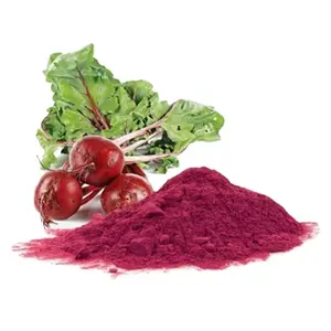 Highly Nutritional Spray Dried Beetroot Powder Affordable Cost/ Beet Root juice Powder /Red Beet Root Powder
