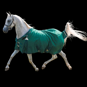 Couverture imperméable pour cheval bleue avec grande protection de la queue et double fermeture poitrine pour une utilisation extérieure toutes saisons - Product Image 2