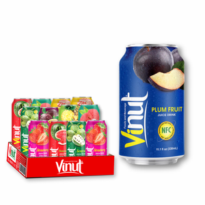 Jus de prune sans sucre OEM 330ml avec option d'étiquette privée et échantillon gratuit – Modèle Juice45 - Product Image 1