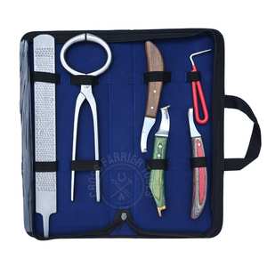 Kit d'outils de ferrage vétérinaire pour sabots, détecteur de douleur, testeur de sabots, couteau à sabots à embout en laiton, outil de mise en forme détaillée des sabots, boucle et pique pour abcess - Product Image 1