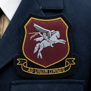 Écusson brodé main personnalisé pour blazer, motif Cheval ailé et Étrier, en fil doré sur fond marron - Product Image 5