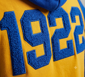 เสื้อฮู้ดดีไซน์ใหม่ ตัวอักษรเชนิลล์ Sigma Gamma Rho สำหรับชมรมนักศึกษา และแพทช์ปี 1922 แขนเสื้อแบบแร็กแลน กระเป๋าแบบเย็บติด ชายเสื้อแบบมีแถบ - Product Image 5