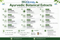 Extrait d'Amla (Phyllanthus emblica L.) de qualité alimentaire, fourni directement par l'usine HGO, spécifications 4:1 5:1 10:1 20:1 100:1 200:1