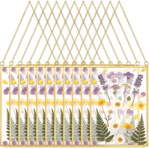 Cadre photo mural botanique de fleurs pressées, rectangulaire, en bois de manguier et métal doré, vente en gros - Product Image 2