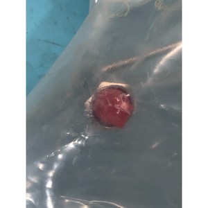 Varian E17026130ด้านขวาของหางหมูก๊าซอุปกรณ์เซมิคอนดักเตอร์และชิ้นส่วนต่างๆที่ไว้วางใจได้ทั่วโลก - Product Image 5