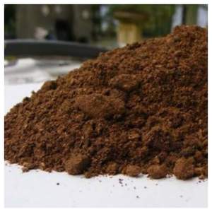 Harina de Nuez de Palma Premium Alta en Proteínas para Alimentación de Ganado |   Nutrición Animal Sostenible | Suministro al por mayor disponible a precios competitivos - Product Image 4