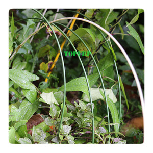Wholesale Lightweight <b>Tomato</b> Plant <b>Support</b> Stake Small Greenhouse Shed for Plantation Farm Fence Post - Product Image 3