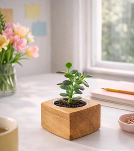 Macetas de Madera en Oferta, Tamaños Personalizados, Cuadradas, Artículos para Jardín y Hogar, Madera de Acacia Natural para Plantas y Flores - Product Image 3