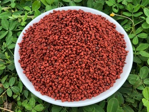 Graines d'annatto séchées de qualité alimentaire pour épices, garnitures de boulangerie en gros et industrie agroalimentaire transformée - Product Image 5
